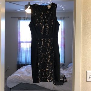 Black and Tan Laced Cocktail Dress